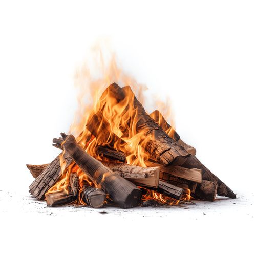 Heizfuxx Brennholz Buche 25 cm 500kg