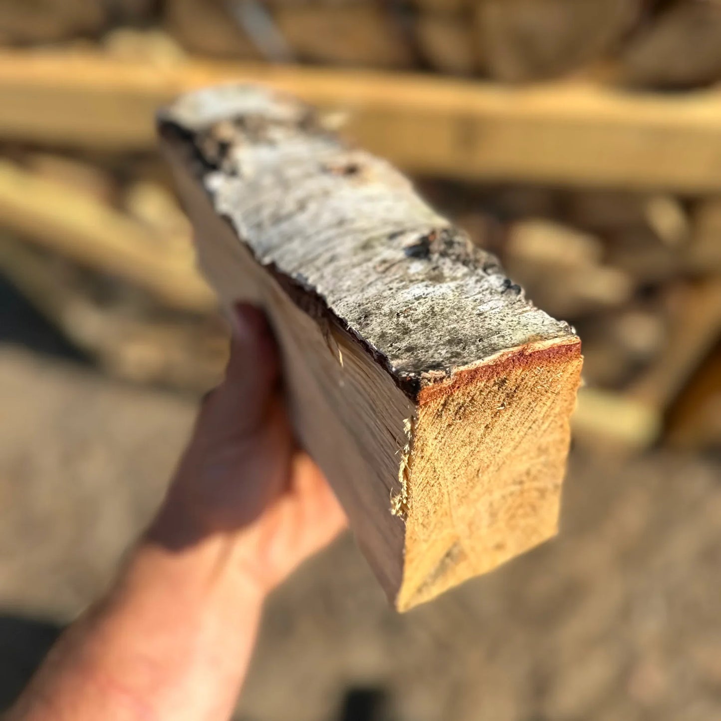 Feuerholz Birke - vorgetrocknet kostenloser Versand