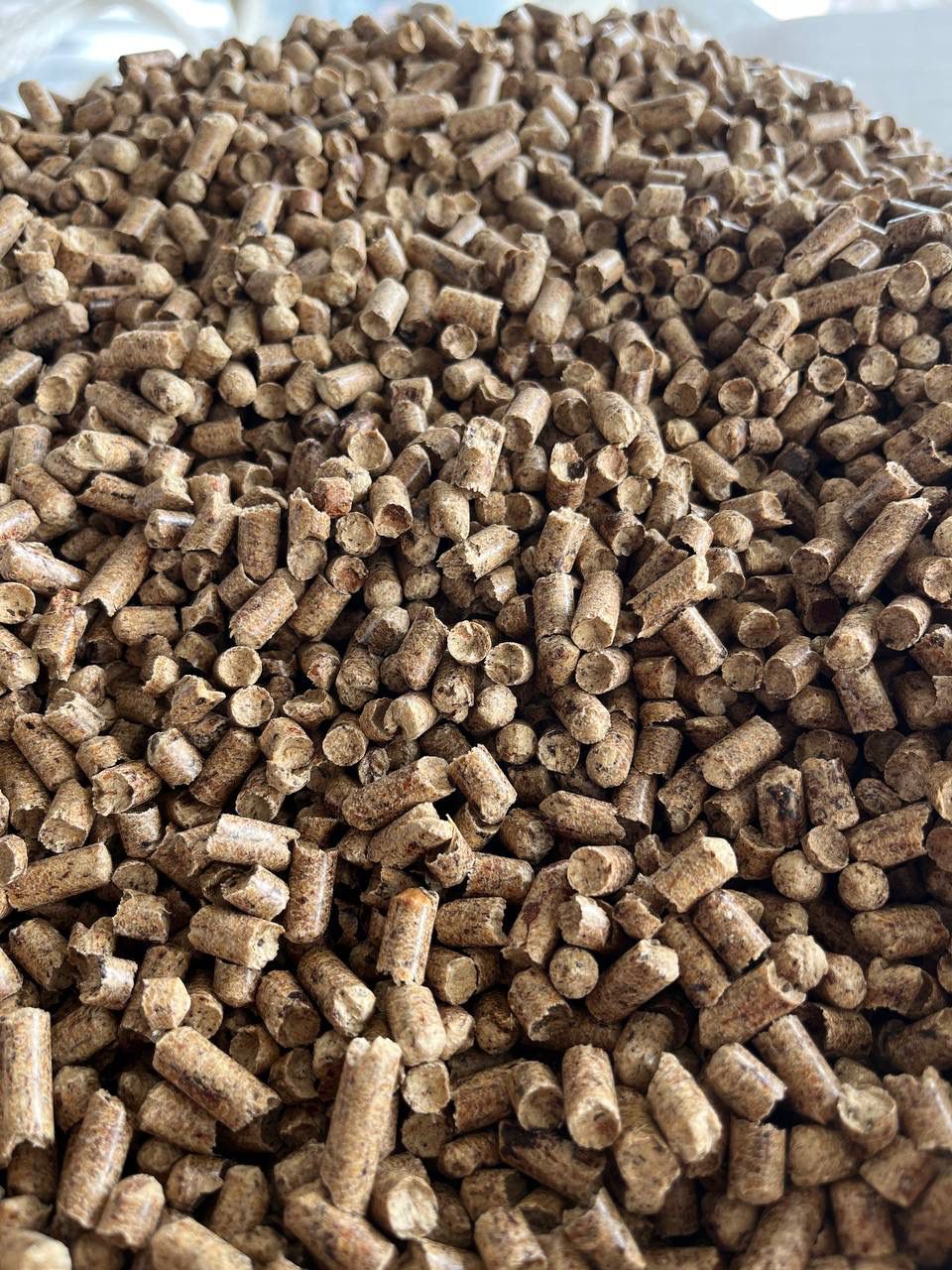 DPP Resource Holzpellets 1050kg 70 Sack a 15kg ab 399€